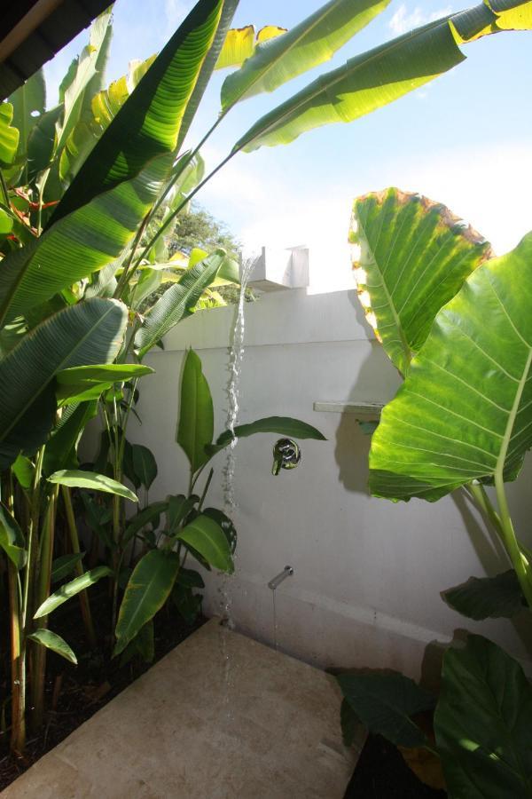 Canta La Rana Playa Bejuco  Exterior photo